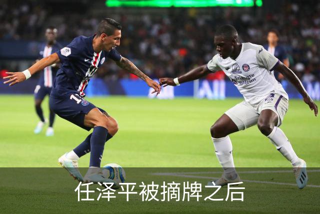 任泽平被摘牌之后