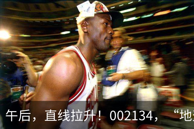 午后，直线拉升！002134，“地天板”