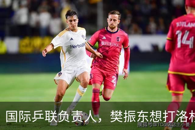 国际乒联负责人，樊振东想打洛杉矶奥运会，没有第三条路？
