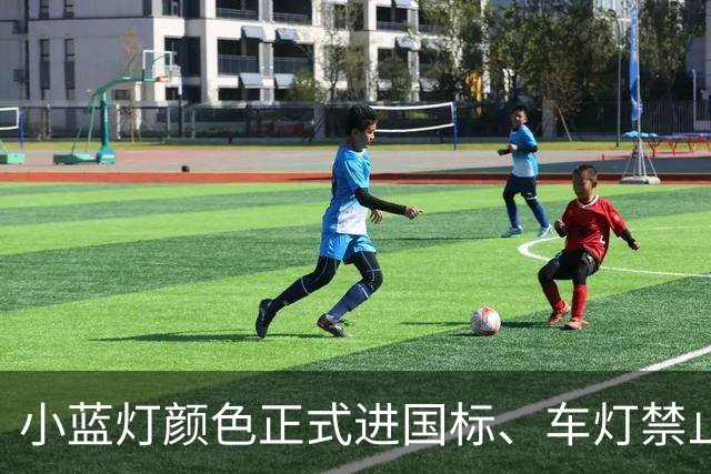 小蓝灯颜色正式进国标、车灯禁止显示文字、禁止用语音关车灯，工信部公开征求意见