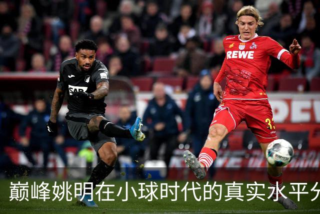 巅峰姚明在小球时代的真实水平分析