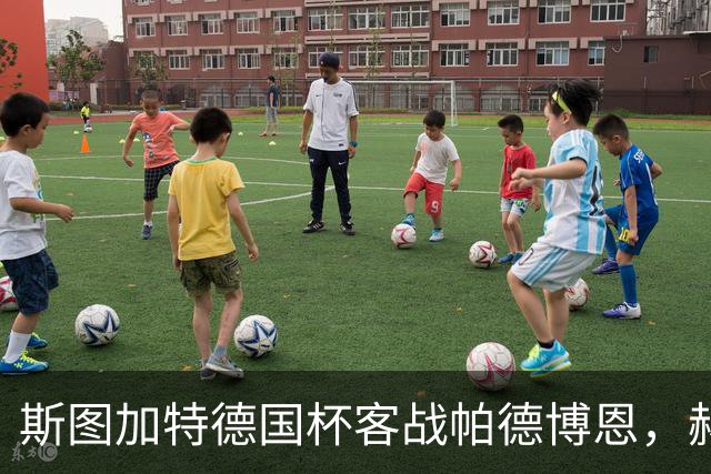 斯图加特德国杯客战帕德博恩，赫内斯要求球队做出回应