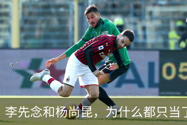 李先念和杨尚昆，为什么都只当了一届国家主席？