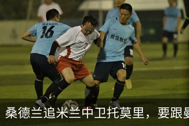 桑德兰追米兰中卫托莫里，要跟曼联热刺等五队抢人