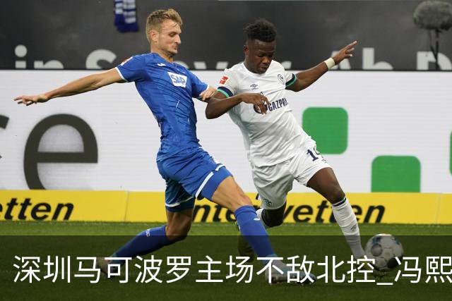 深圳马可波罗主场不敌北控 冯熙瑞逆境打出亮眼表现