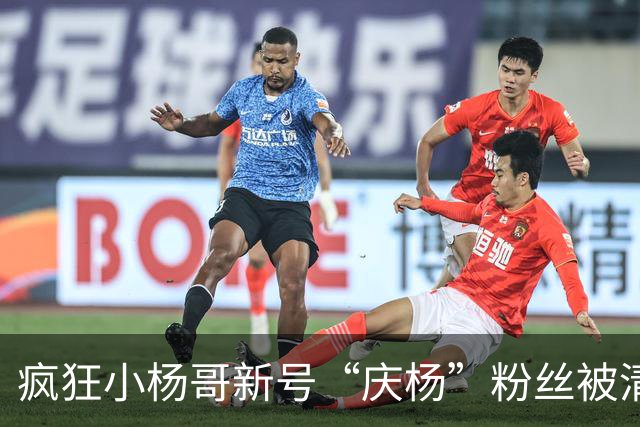 疯狂小杨哥新号“庆杨”粉丝被清零，新增关注也不计入粉丝量