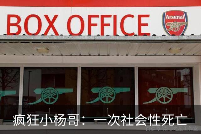 疯狂小杨哥：一次社会性死亡