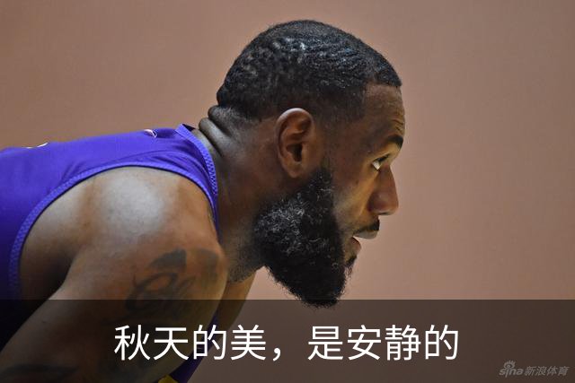 秋天的美，是安静的