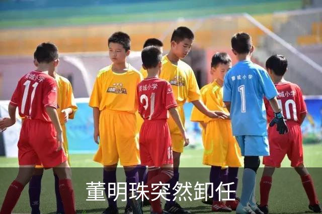 董明珠突然卸任