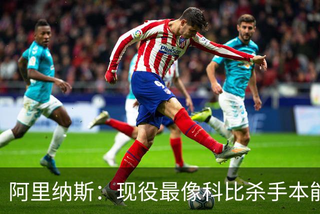 阿里纳斯：现役最像科比杀手本能的是布伦森 亚历山大紧随其后